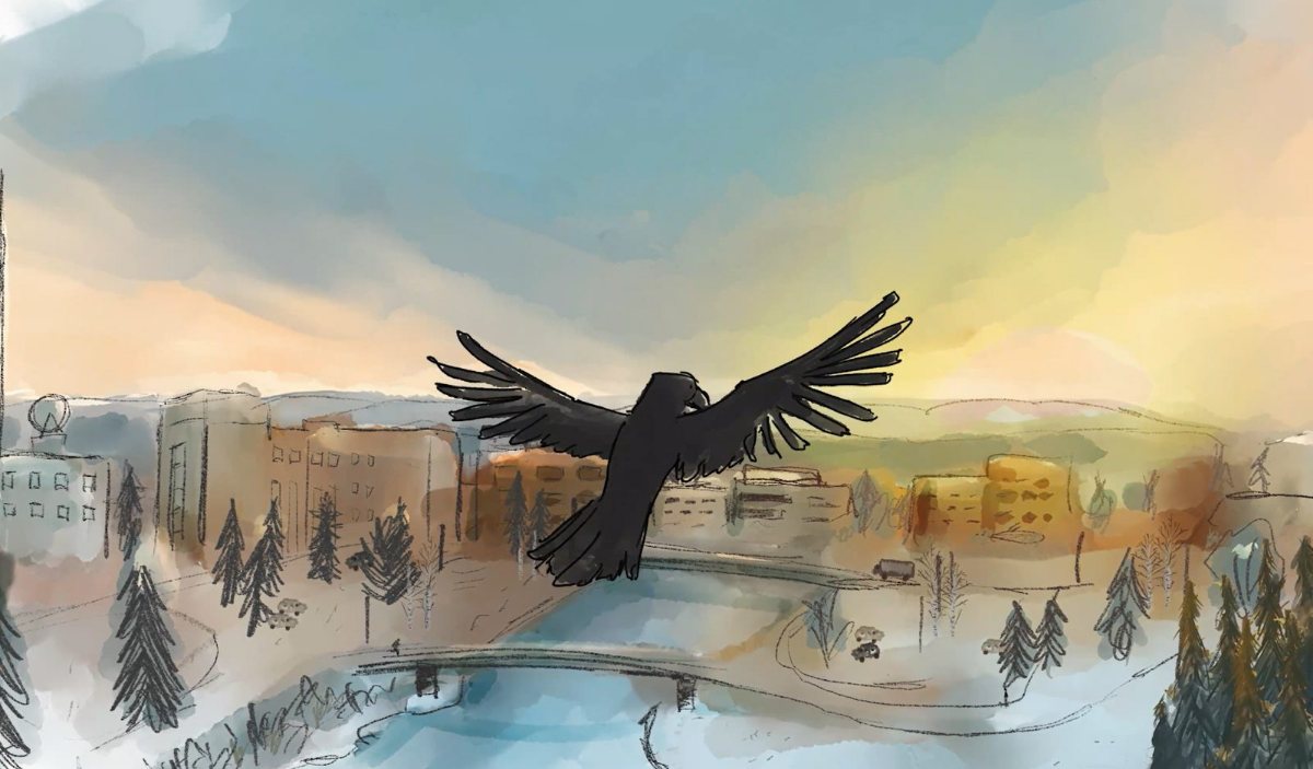 Still from the Animated Raven brand piece